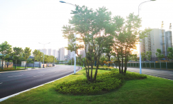 宜昌市夷桥路快速化改造工程（环境景观）施工项目